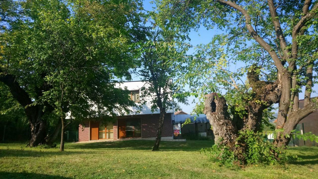 Villa Dream Dobrevtsi Exterior photo